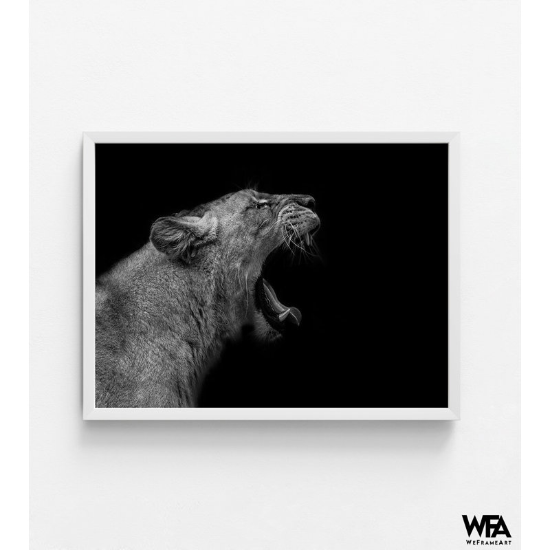 «Lionne In Low Key» par Nauzet Baez, Reproduction encadrée sans passe-partout, H 8 po x l 10 po, Blanc