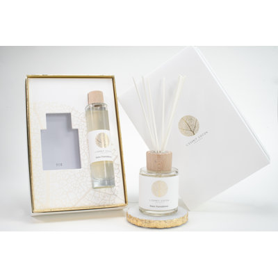 Between Parentheses Diffuser Box