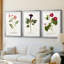 Nature Printed Botanicals III - reproduction sur mesure encadrée de qualité supérieure - 3 pièces-2141871360-2141871367