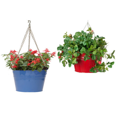 Enameled Galvanized Steel Hanging Planter