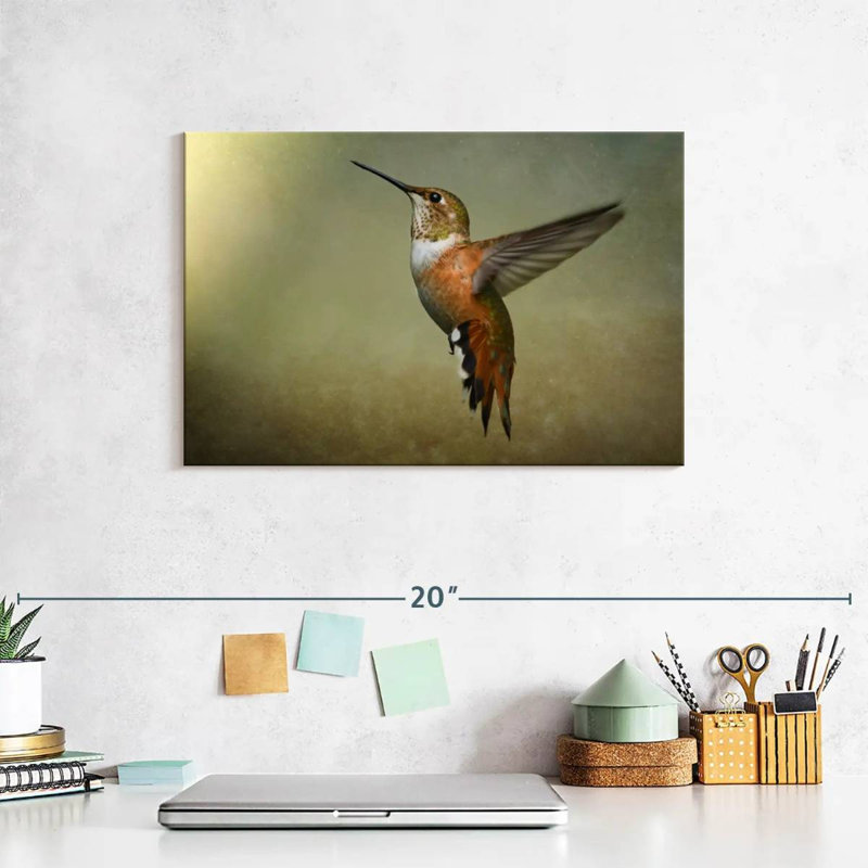 Brampt Female Rufous Hummingbird, 8" H x 12" W