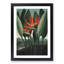 Exotic Flowers by R.J. Thornton - Picture Frame Painting Print-55535878-55535879