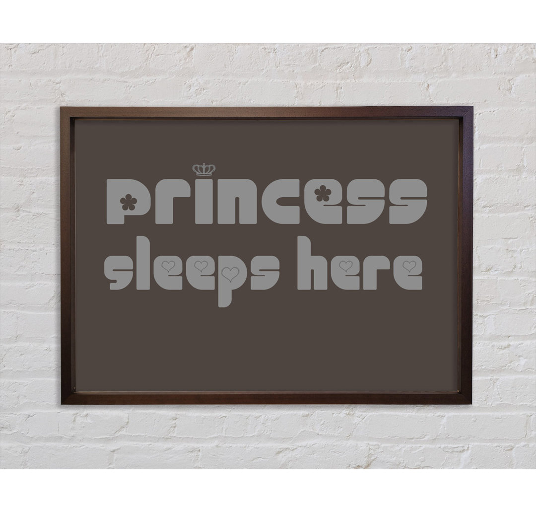 Princesss Sleeps Here 2 Chocolate - Einzelner Bilderrahmen Typografie auf Leinwand