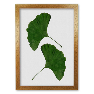 Ginkgo Leaf II - Print