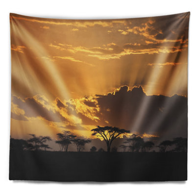 Coucher de soleil en Afrique avec tapisserie d'acacia