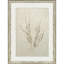 Whispering Grasses III Print by Purinton Paragon