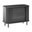 Talasia Iron 2 - Door Rectangle Accent Cabinet
