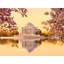 Sunrise Over The Jefferson Memorial Print by Steven Heap-65782904-65782906