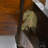 Solid Wood Four Poster Bed