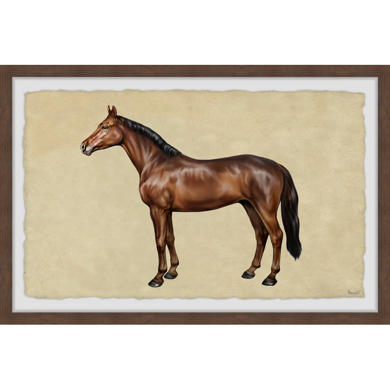 Shiny Coat - Single Picture Frame Painting, 20cm H x 30cm W x 3.81cm D