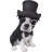 Boston Terrier with Top Hat Statue