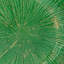 Ensemble de 8 assiettes décoratives en forme de feuille de lotus-1502803049