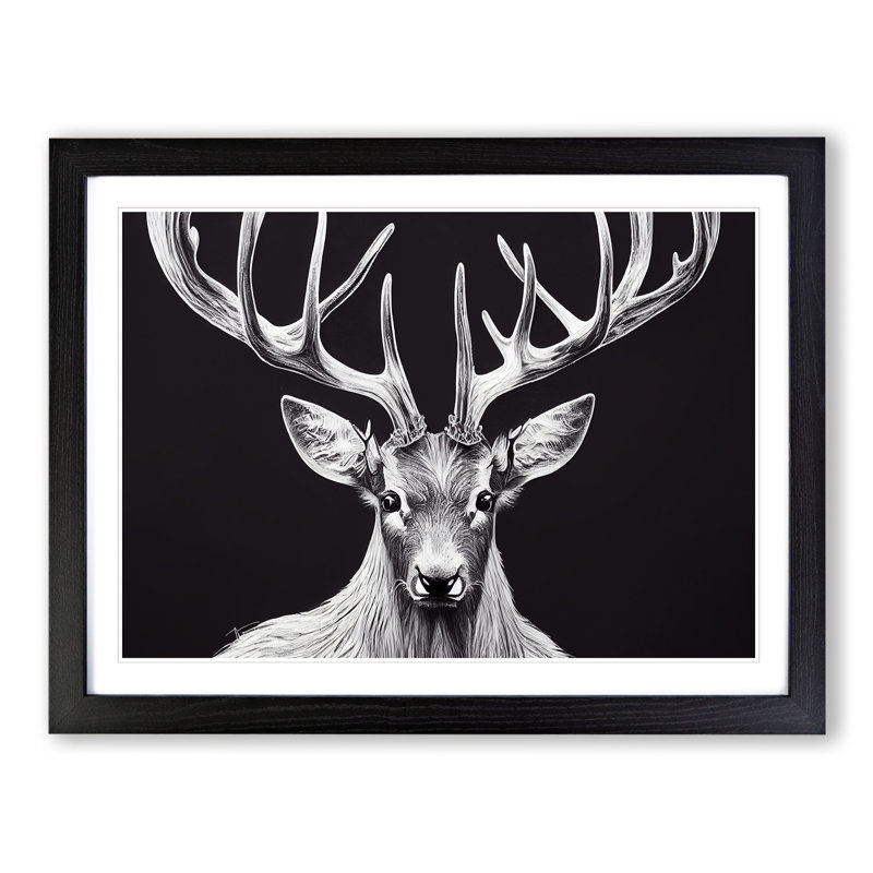 Picturesque Stag Deer - Single Picture Frame Print, Black Framed, 46cm H x 64cm W x 2cm D