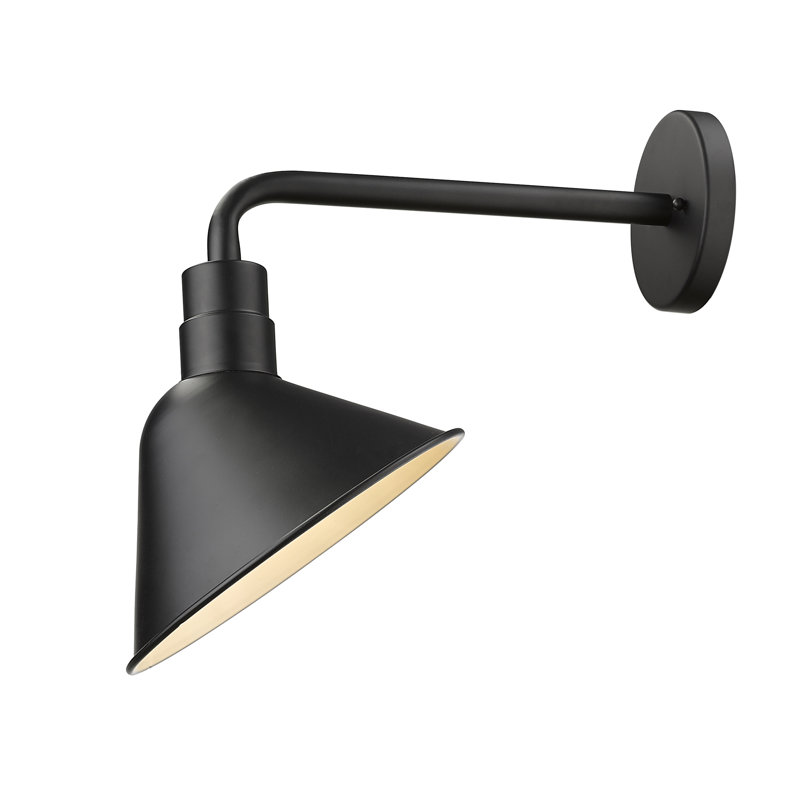 Luminaire de grange d'extérieur à 1 ampoule noir mat Dimitrious, H 17,25 po x l 12 po x P 18,5 po