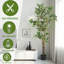 Ficus artificiel 67 po 67 po - Figuier faux artificiel avec pot en plastique noir, arbre d'intérieur nécessitant peu d'entretien pour la décoration de bureau personnel