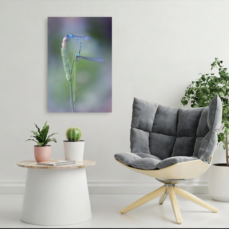 Blue Damselfly Love Delicate Serene Tranquil Animal Nature Wall Art Print 1 Piece Wrapped Canvas Wall Art