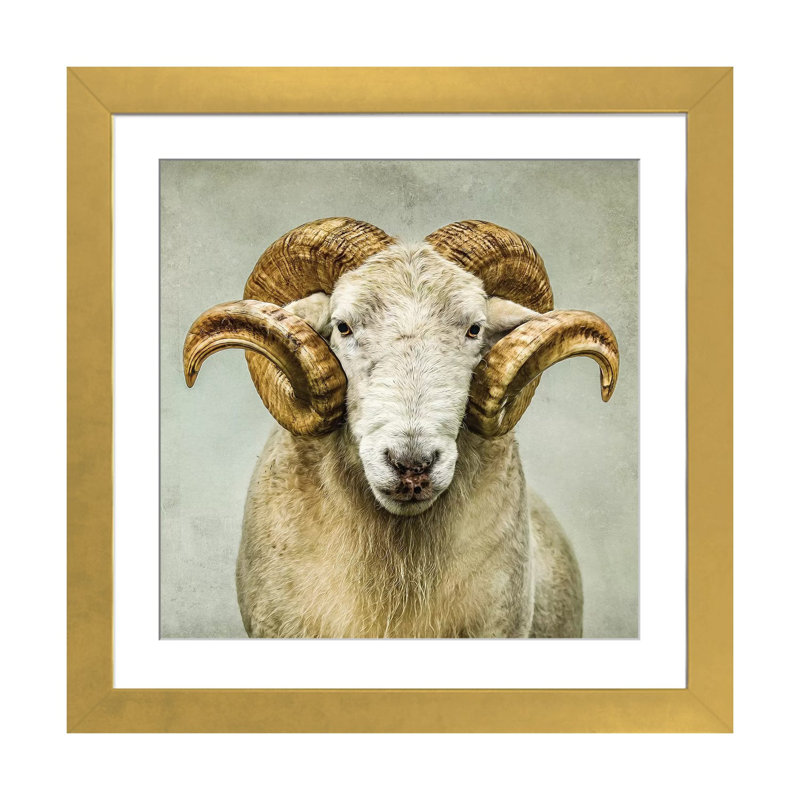 « Stare » par Mark Gemmell-impression d’art graphique, Papier doré, Blanc, H 24 po x l 24 po x p 1 po