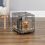La cage pour chien iCrate à une porte nouvellement améliorée de MidWest Homes For Pets comprend un panneau de séparation-31132738
