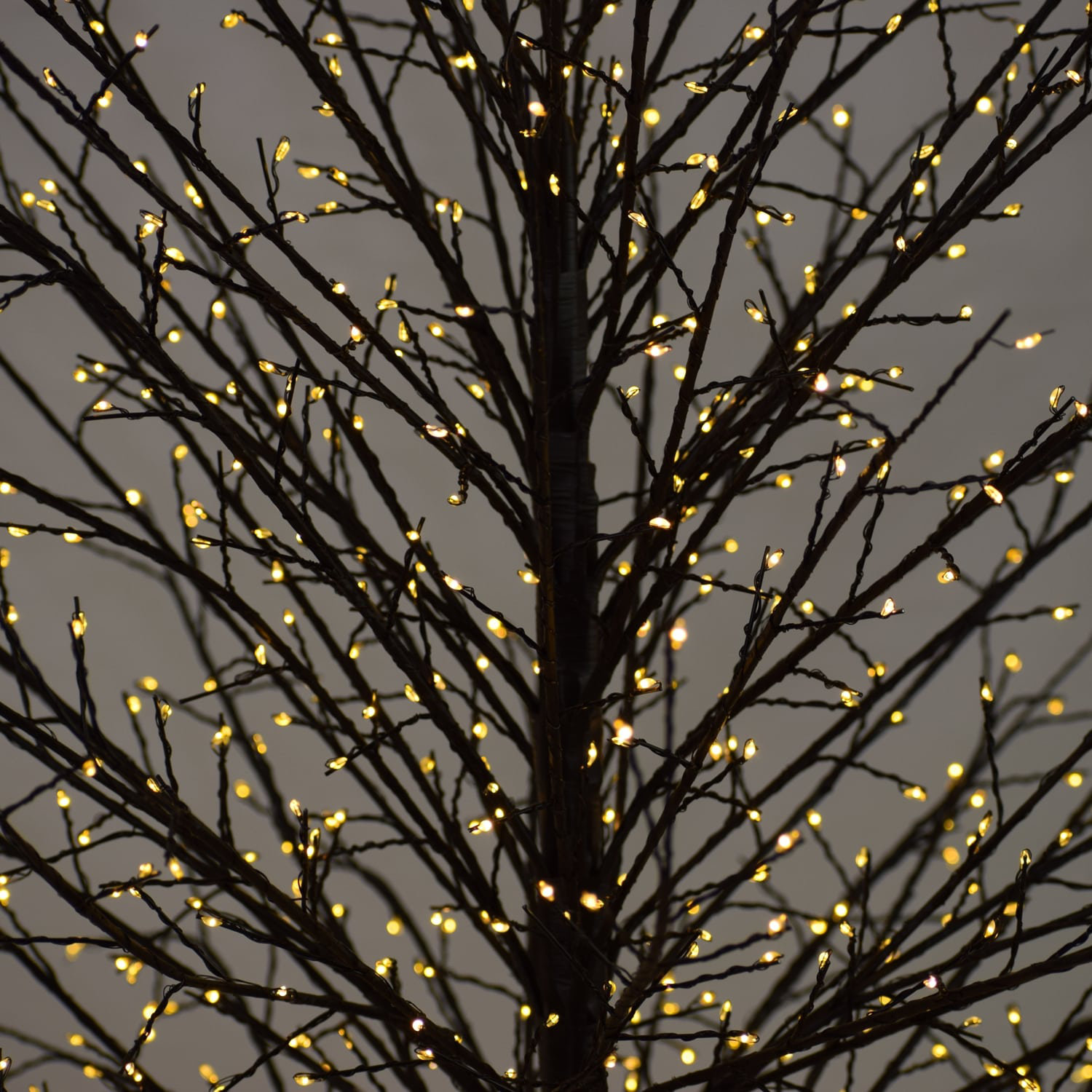 Warm White LED Birch Tree, 70.86" H x 20.8" L x 20.8" D, Black