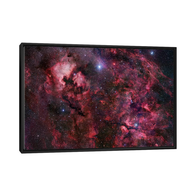 « cygnus mosaic i », impression sur toile, Toile avec cadre noir, Pas de tapis, H 32 po x l 48 po x P 1,5 po