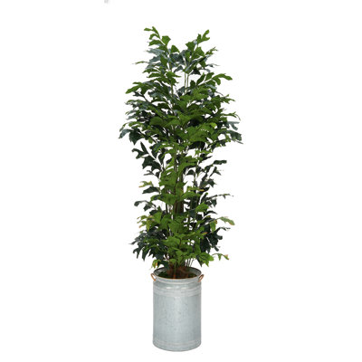 90'' Faux Palm Tree in Metal Planter