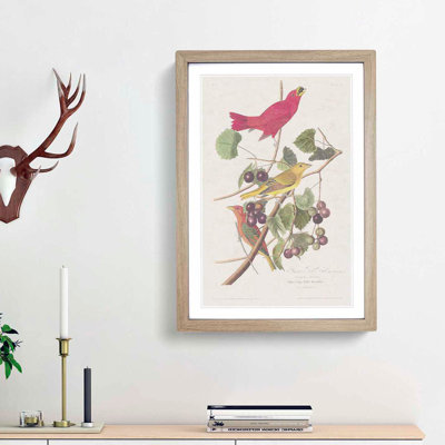 Summer Red Birds by John Audubon - Picture Frame Painting Print
