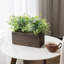 23.9cm Faux Foliage Plant