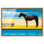 Oliver Gal Palm Springs Stallion Fashion - Framed Acrylic Glass Wall Art-1771405742-1771405748