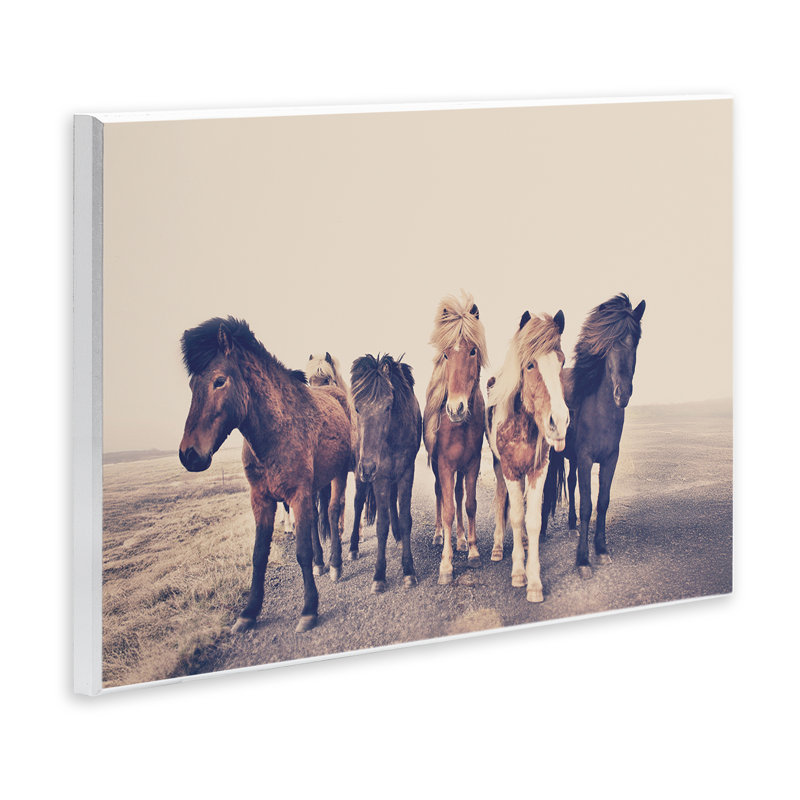 Plaque murale Mute Brown, H 10 po x l 15 po