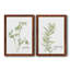 Fresh Sprig Persil - ensemble de 2 reproductions d'art-1424708186-1424708185-1424708133