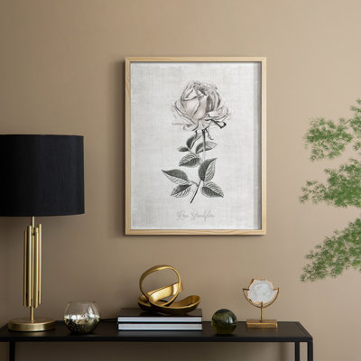 Vintage Botanical II Framed Print - Solid Wood