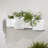 Dalya Planter-59933964
