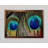 Peacock Feather Duo - Single Picture Frame Print-96758814