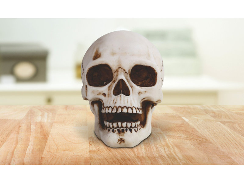 Jessabella 4.5"W Skull Head Figurine Unique Gifts