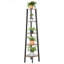 Vaillancourt 159cm H x 45.5cm W Corner Bookcase