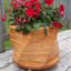 Pot de fleurs en bois Darla