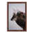 Brown Framed is unavailable