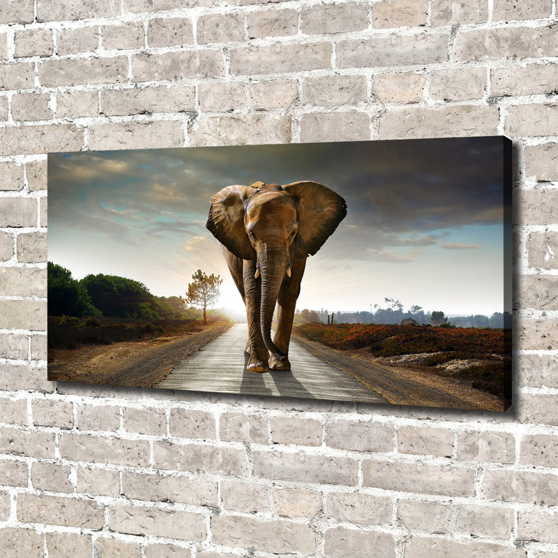 Strolling Elephant - Wrapped Canvas Print