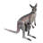 Australian Outback Kangaroo Statue