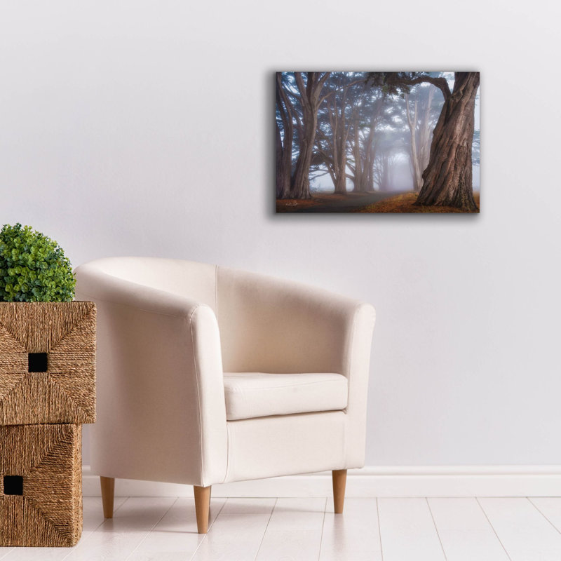 Toile épique Graffiti «Cypress Tree Tunnel» par Martin Podt, 26 po x 18 po, H 18 po x l 26 po