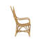 Millar Wicker Outdoor Lounge Chair