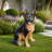Outdoor Dog Statue