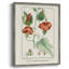 Reproduction encadrée Turpin Tropical Botanicals IV - bois massif-1403929374