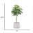 65.57 " H Faux Tree in Resin Pot-97863893