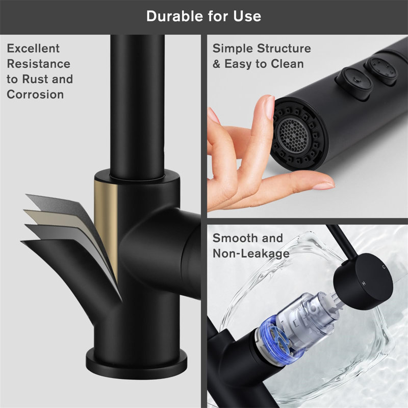 Metro Lane Daury Kitchen Faucet, Matte Black