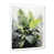 Cadre simple blanc