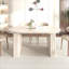 Carice ovale extensible avec base robuste