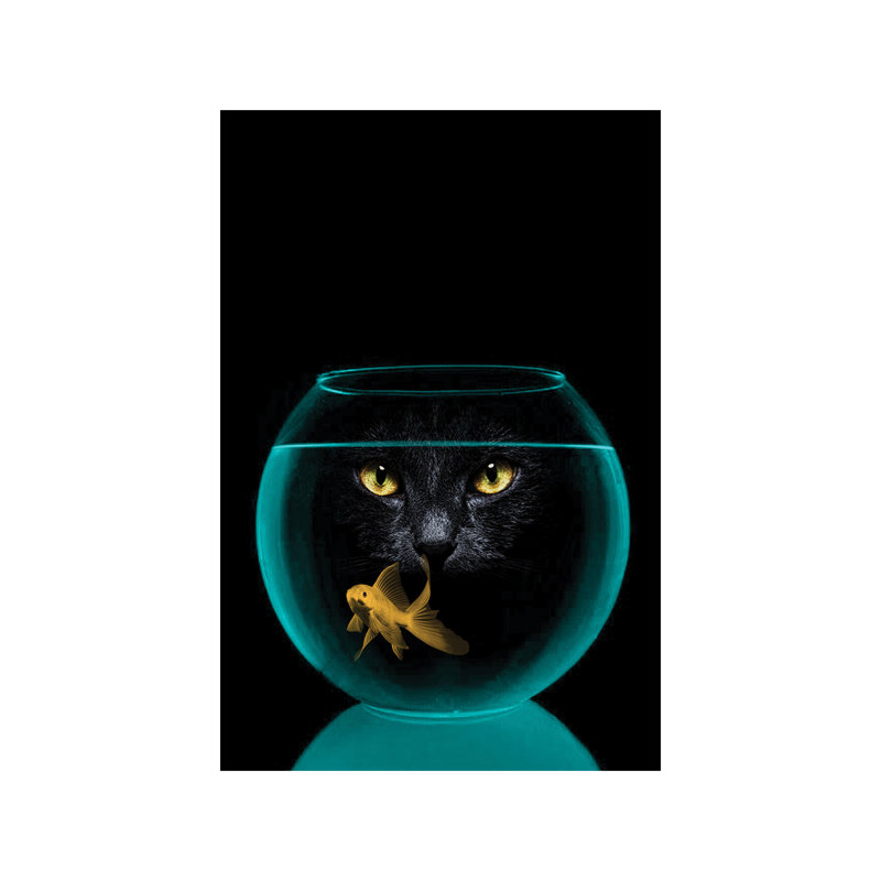 Black Cat Goldfish - Wrapped Canvas Print, 66.04 cm H x 45.72 cm W x 1.91 cm D