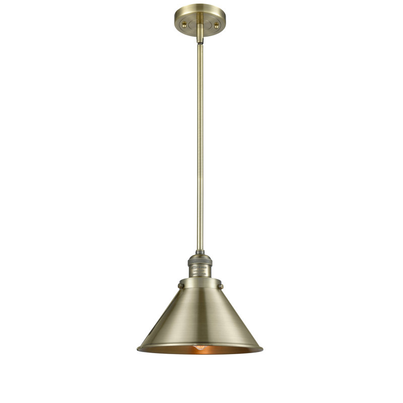 Paylor 1 - Light Single Pendant, No Bulb Included, Antique Brass, Antique Brass