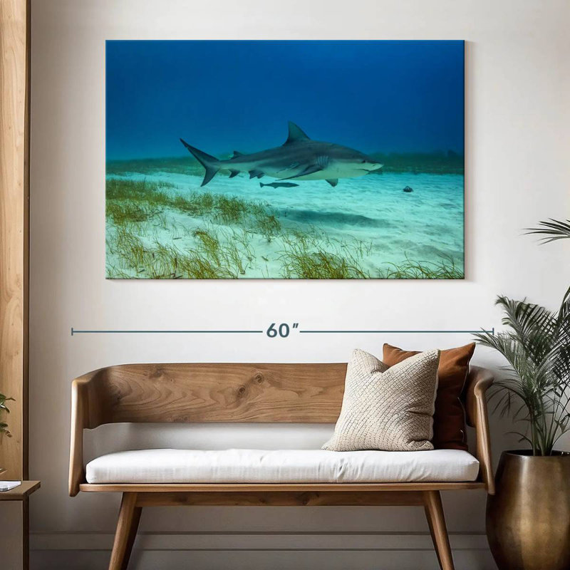 Habitat de requin taupe Brampt, H 34 po x l 51 po